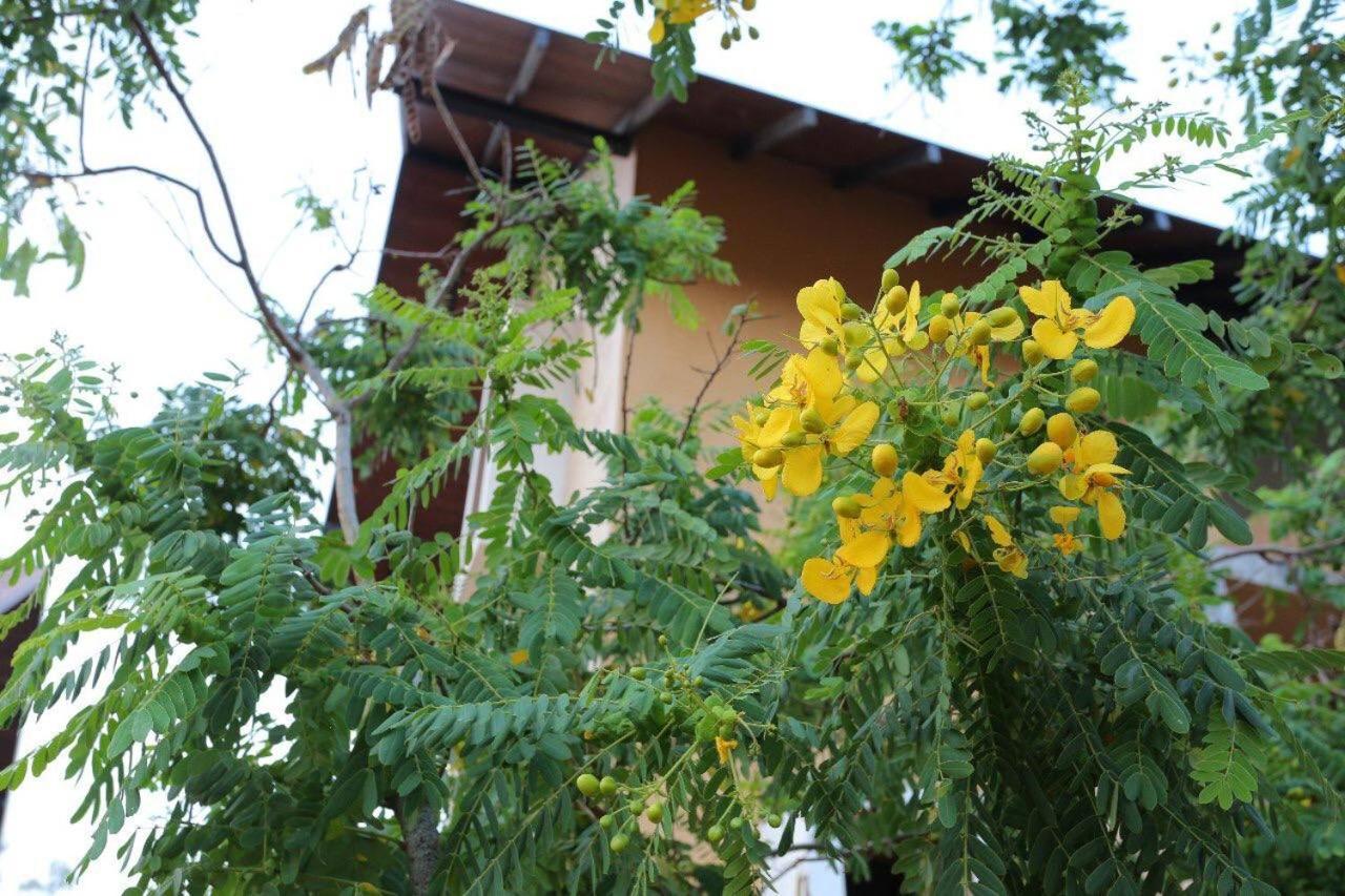Lolu Village Resort Anurâdhapura Extérieur photo